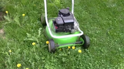 Mowing the lawn Stock Footage 24695894