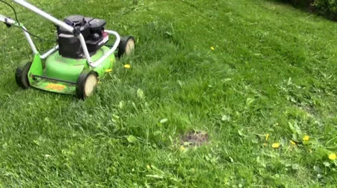 Mowing the lawn Stock Footage 24696485