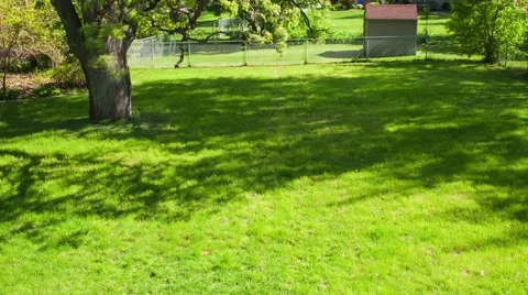 Mowing the Lawn Stock Footage 63268299