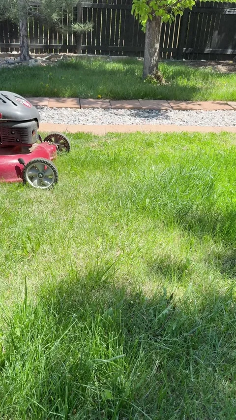 Mowing the lawn, a mower In-motion 库存影片 312105280