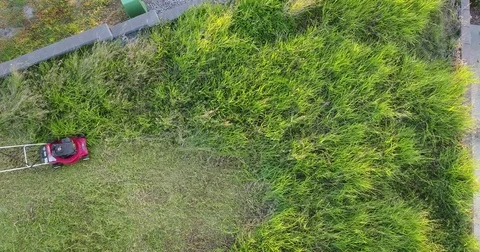 Mowing long grass by hand from above Stock Footage 75956672