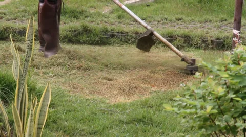 Mowing machine 스톡 동영상 29172031