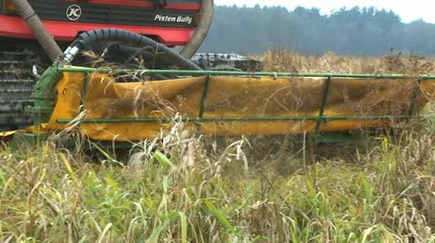 Mowing marsh 1 Video stock 22108677