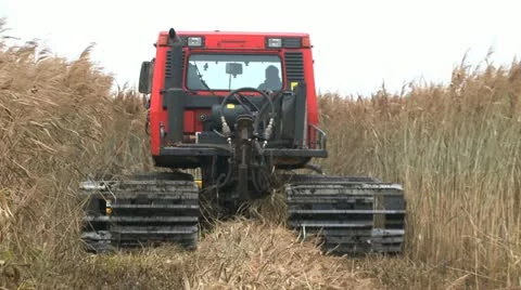 Mowing marsh 2 Stock Footage 22108292
