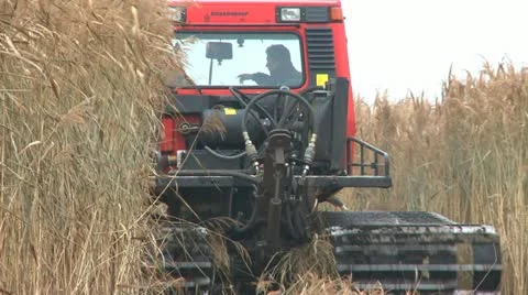 Mowing marsh 3 Stock Footage 22109128