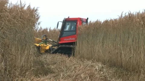 Mowing marsh 4 Stock-Footage 22109021