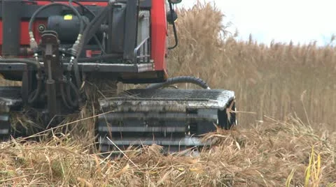 Mowing marsh 6 Stock Footage 22109260