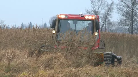 Mowing marsh 7 Vídeo Stock 22109368