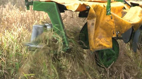Mowing marsh 8 Stock Footage 22110223