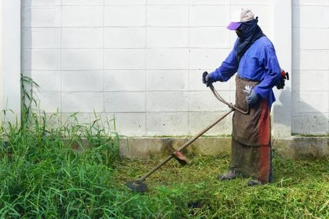 Mowing Stock Photos