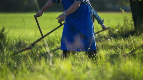 Mowing with the scythe Stock Footage 46856006