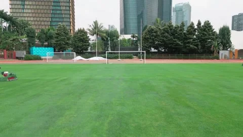 Mowing the stadium grass Stock Footage 256271308