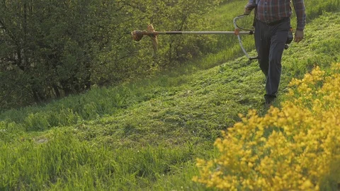 Mowing trimmer. Worker cutting grass in green yard at sunset Video stock 119543185