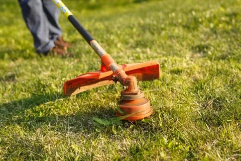 Mowing trimmer - worker cutting grass in green yard at sunset Stock Photos
