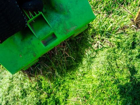 Mown grass spills from container into compost heap 写真素材