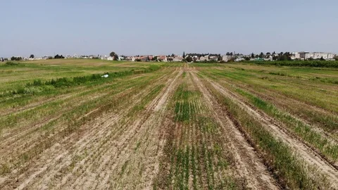 Mown wheat field 045 Stock Footage 106120447