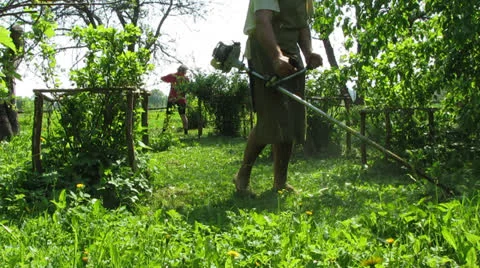 Mows Stock-Footage 23692774