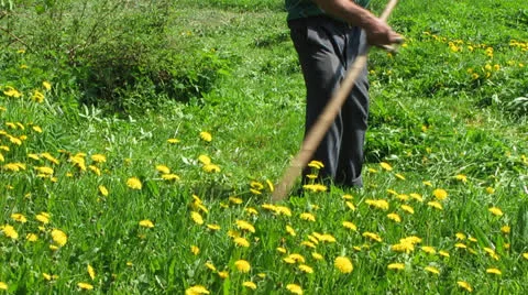 Mows Video stock 23692862