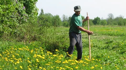 Mows Vídeo Stock 23692953