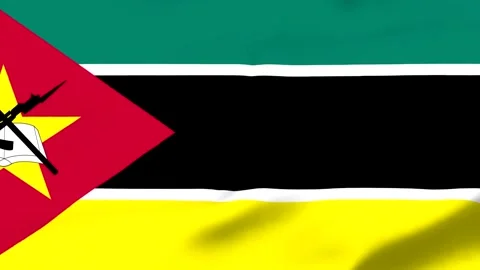 Mozambique flag with emblem waving in the wind Vídeos de archivo 343573349