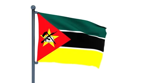Mozambique Flag Stock Footage 150202462
