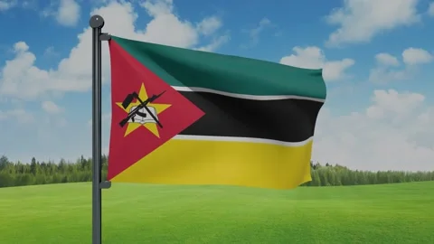 Mozambique Flag Stock Footage 153254879