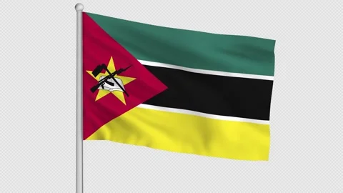 Mozambique Flag Stock Footage 219468787