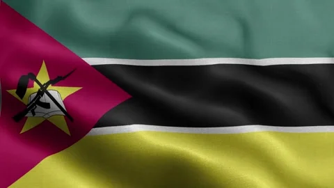 Mozambique flag Front Stock Footage 318667342