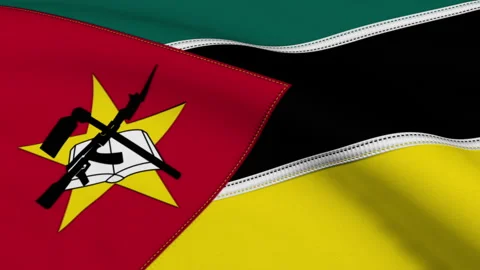 Mozambique Flag Loop Stock Footage 241213748