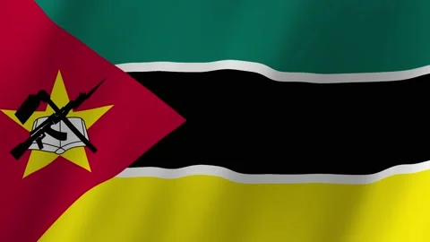 Mozambique flag waving animation 動画素材 221661736
