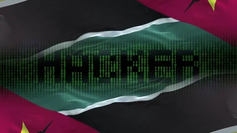 Mozambique flag - Waving flag on matrix binary code background Stock Footage 321420409