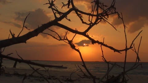 Mozambique sun set on a windy evening. Stock-Footage 137958404