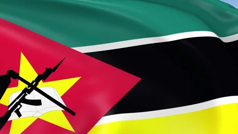 Mozambique Waving Flag Background Loop 스톡 동영상 317844987