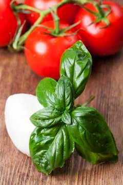 Mozarella, basil and tomatoes Stock Photos