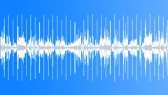 Mozart String Quartet No. 17 K458 Op.10 No.3 1. Allegro vivace assaiStock Music