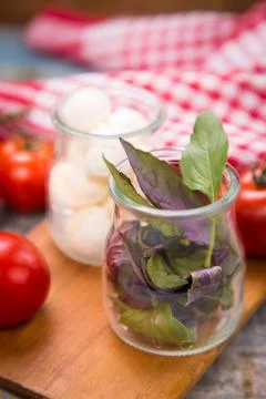 Mozzarella and basilicas Stock Photos