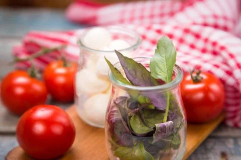 Mozzarella and basilicas Stock Photos