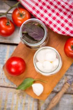 Mozzarella and basilicas Stock Photos