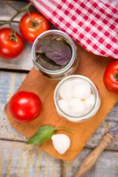 Mozzarella and basilicas Stock Photos