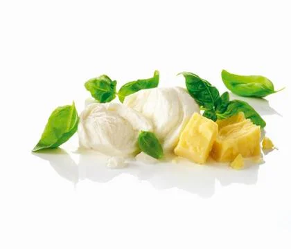 Mozzarella, basil and Parmesan Stock-Fotos