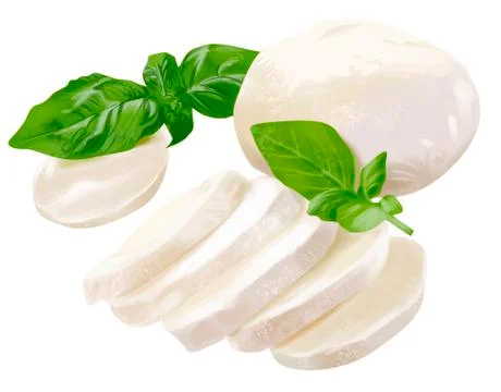 Mozzarella with basil, phase of milk processing. illustration. dairy product Stock Illustration