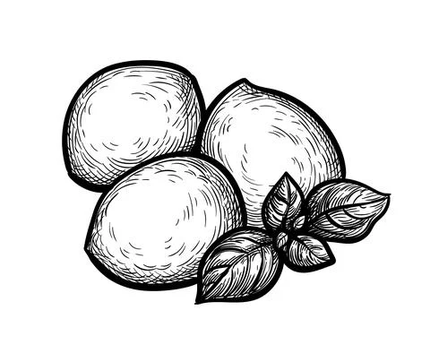 Mozzarella cheese with basil. Stock Illustration