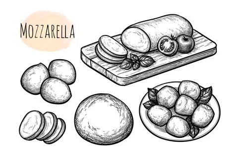 Mozzarella cheese big set. Stock Illustration
