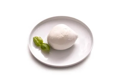 Mozzarella cheese 写真素材