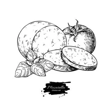 Mozzarella cheese vector drawing. Hand drawn round piece with ba Stock Illustration