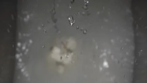 Mozzarella is fed into a water tank at a dairy production facility Stock Footage 145353096