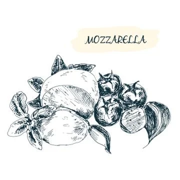 Mozzarella Stock Illustration