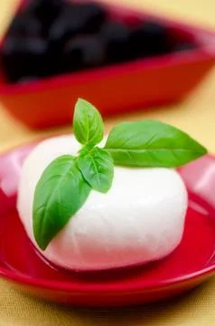 Mozzarella. Stock Photos