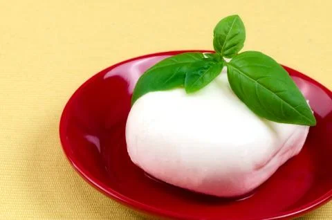 Mozzarella. Stock Photos