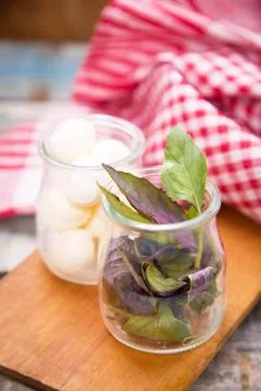 Mozzarella Stock Photos